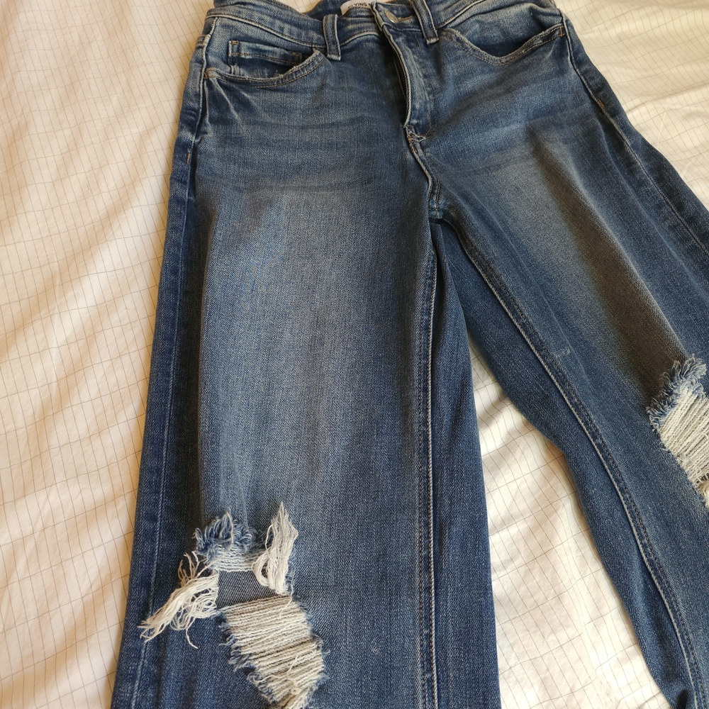 Flying Monkey Blue Boyfriend Jeans Distressed
